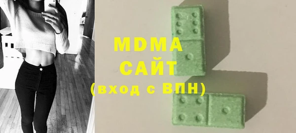 стаф Тайга