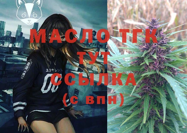 стаф Тайга
