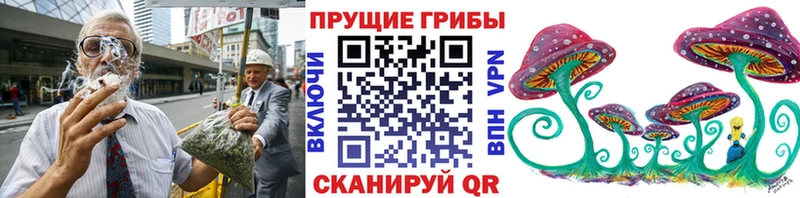 Псилоцибиновые грибы Psilocybe Новосокольники